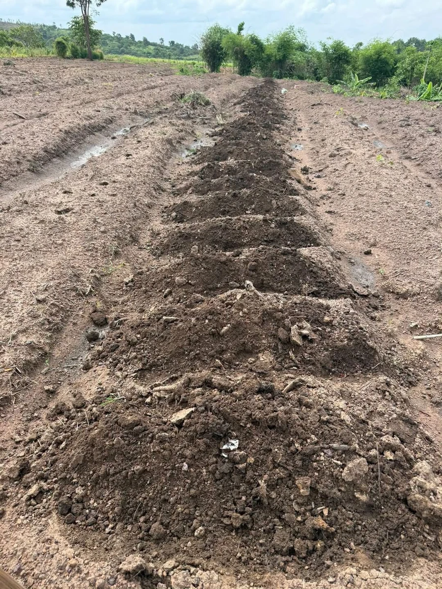 Bán đất 1,2 hectare suối nước quanh năm Ea Súp, Đắk Lắk, giá 200 triệu - Ảnh 1