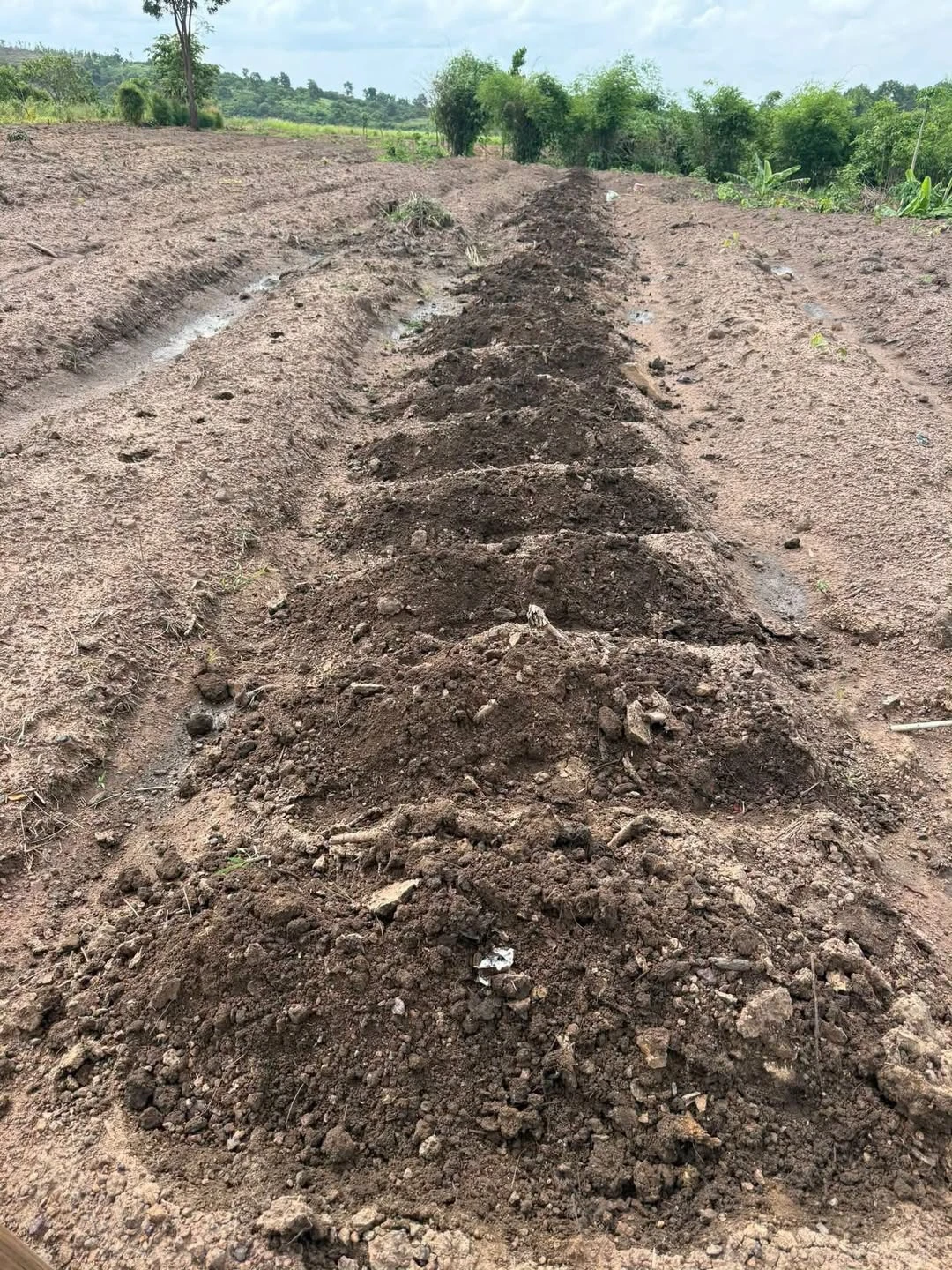 Bán đất 1,2 hectare suối nước quanh năm Ea Súp, Đắk Lắk, giá 200 triệu - Ảnh 1