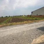 Bán lô đất thổ cư 5x29m (145m²) Hòa Khánh Đông, Nhà Bè - Ảnh thu nhỏ 3