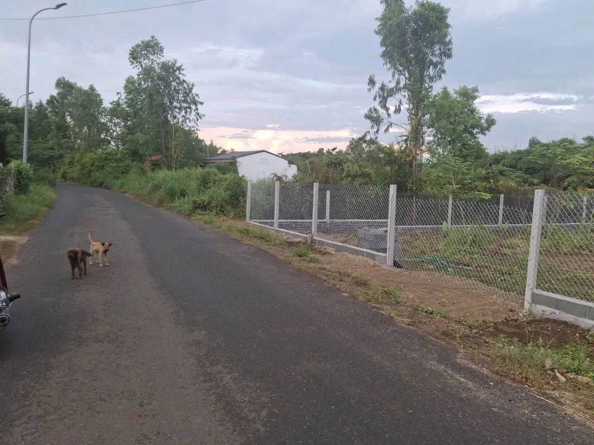 Bán đất mặt tiền 213m2 Hồ Đá Bàng Long Phước 980 triệu - Ảnh thu nhỏ 3