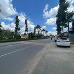 Bán đất tại Quốc lộ 60, xã Sơn Đông, thành phố Bến Tre, 12 tỷ, 546m2 - Ảnh thu nhỏ 6