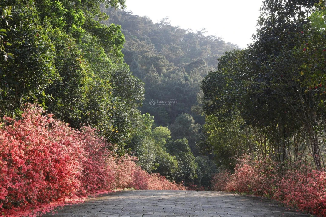 Bán căn đơn lập cuối cùng của phân khu Valley Park, giá 22 tỷ - Ảnh thu nhỏ 4