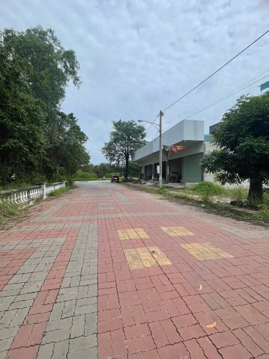 Bán gấp lô đất 8x20m view bờ hồ tại dự án Cát Tường Phú Sinh, giá dưới 2 tỷ - Ảnh thu nhỏ 2