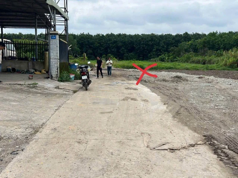 Bán đất Ấp 4 Tân Thành 115m² giá 390 triệu