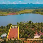Bán đất 2000m² tại Xã Ea Ning, Đắk Lắk, giá 1,5 tỷ - Ảnh thu nhỏ 1