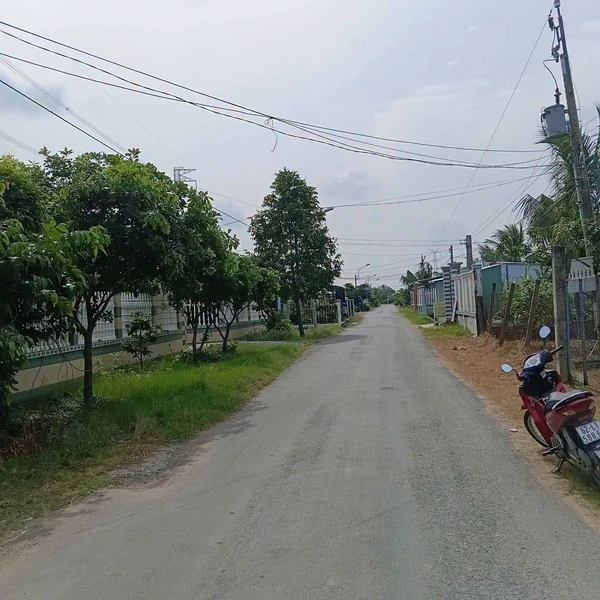 Bán đất lúa 1000m2 mặt tiền Cần Dước Long An