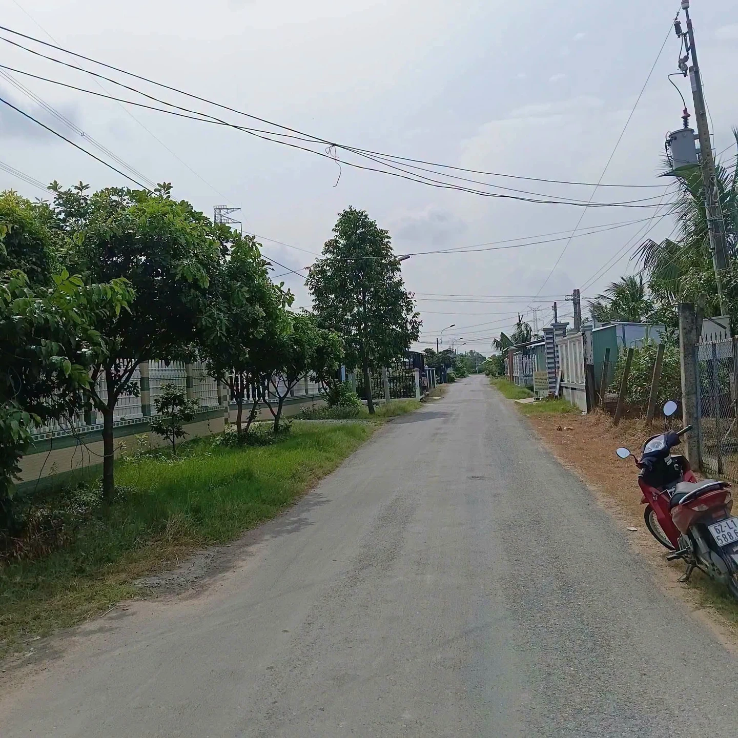 Bán đất lúa 1000m2 mặt tiền Cần Dước Long An - Ảnh 1