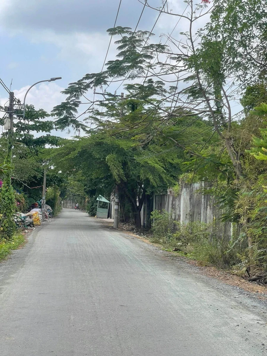 Bán 1300m² đất trồng cây Bình Hưng Bình Chánh 8,5 tỷ - Ảnh thu nhỏ 4