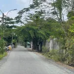 Bán 1300m² đất trồng cây Bình Hưng Bình Chánh 8,5 tỷ - Ảnh thu nhỏ 4