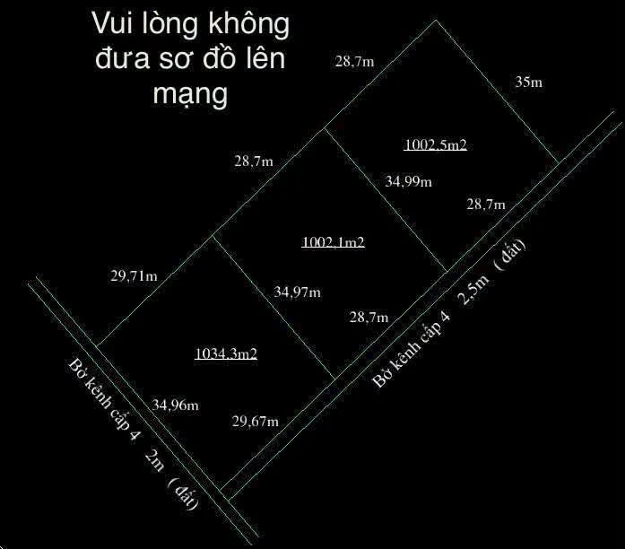 Bán lô đất vườn 1000m² tại Thủ Thừa, Long An - Ảnh thu nhỏ 3