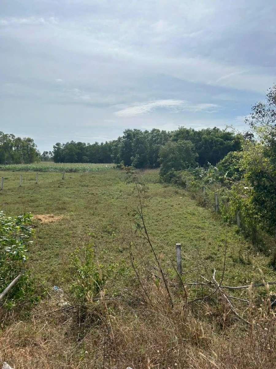 Bán đất Lagi, Bình Thuận, 500m², đường Lê Quang Định 2.5 tỷ - Ảnh thu nhỏ 4
