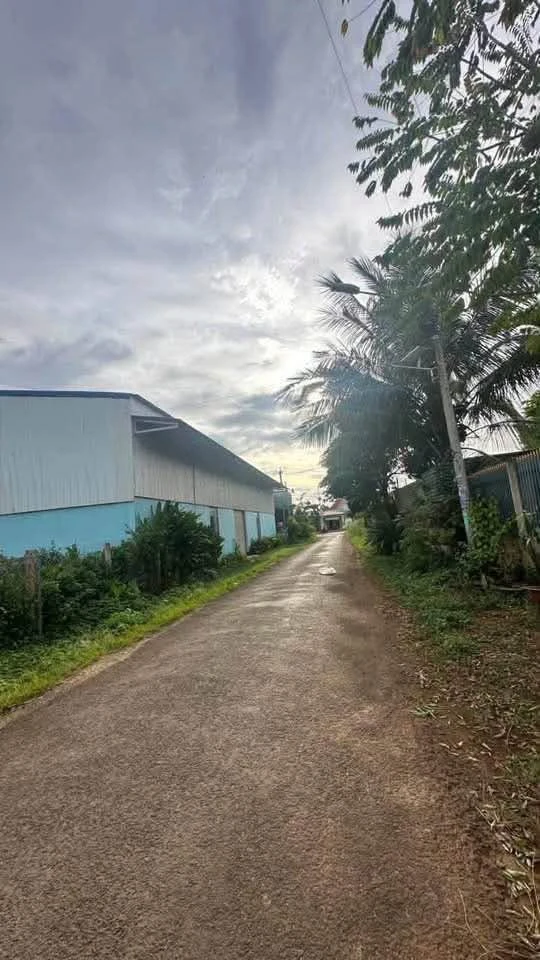 Bán đất thổ cư 135m² mặt tiền Phường Tân An, Cần Giờ - Ảnh thu nhỏ 2