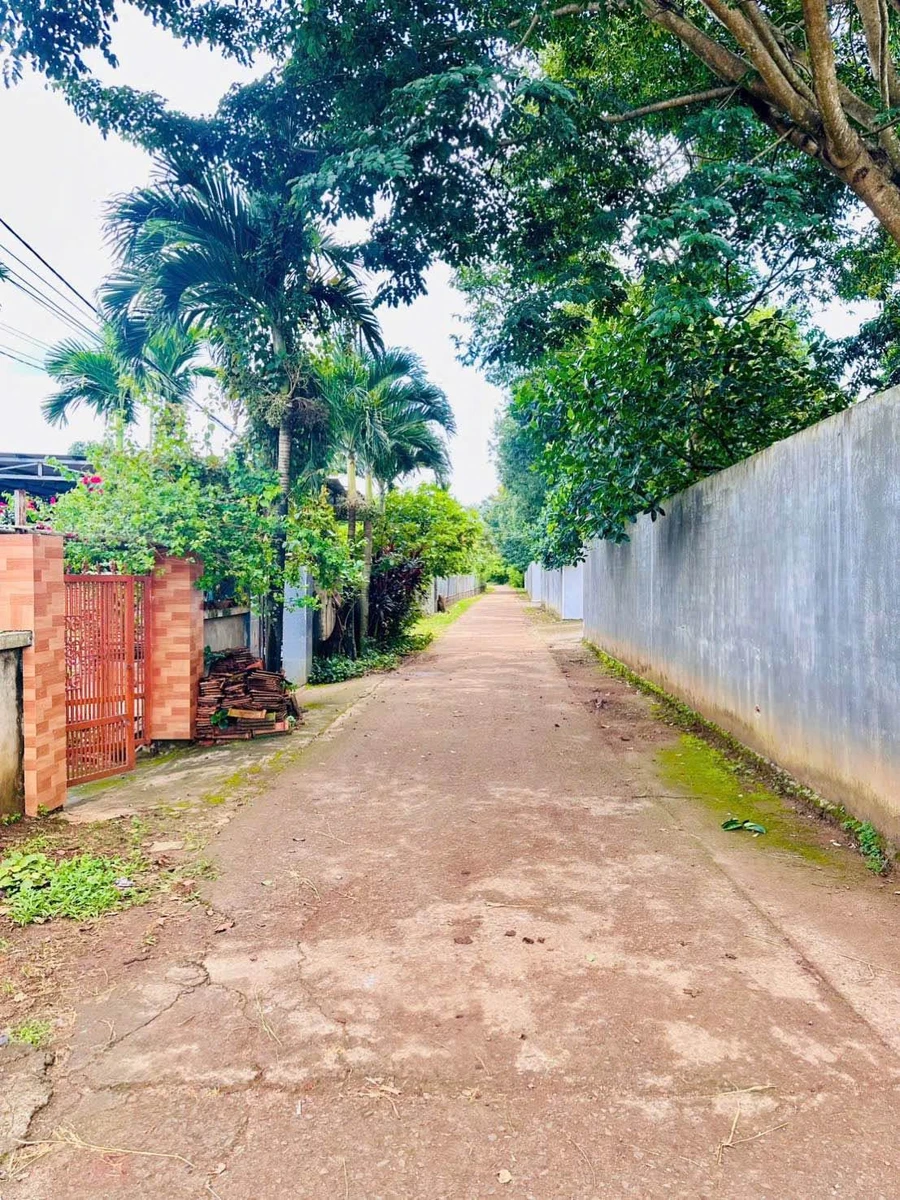 Bán lô đất 8x25m gần chợ EaKao, giá 1,38 tỷ, Buôn Ma Thuột - Ảnh thu nhỏ 2