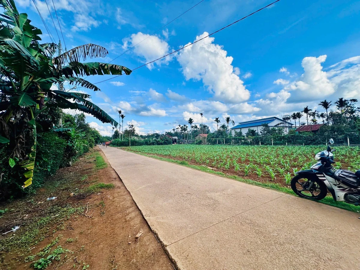 Bán đất nền 200m² gần chợ Cuordang, Bình Dương, 900 triệu - Ảnh thu nhỏ 4