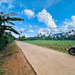 Bán đất nền 200m² gần chợ Cuordang, Bình Dương, 900 triệu - Ảnh thu nhỏ 4