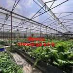 Bán lô đất 4100m2 đường Mimoza Đà Lạt 8.5 tỷ - Ảnh thu nhỏ 1