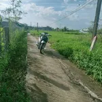 Bán đất Gò Công Đông Tiền Giang 117,5m² 250 triệu - Ảnh thu nhỏ 1