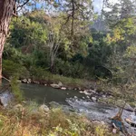 Bán 8ha đất Bãi Ruộng 2 view suối, giá 200 triệu/1.000m², xã Đạ Sar, Lạc Dương, Lâm Đồng - Ảnh thu nhỏ 3