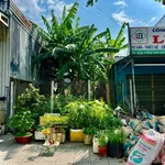 Bán nền mặt tiền 125m² Trần Văn Giàu, Rạch Giá, An Giang - Ảnh thu nhỏ 4