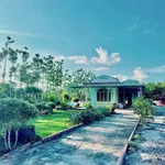 Bán đất sào có thổ cư 1.139 m² Phường Minh Hưng Chơn Thành - Ảnh thu nhỏ 1