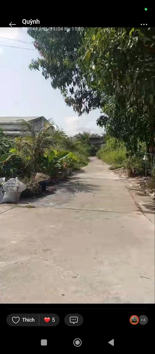 Bán cặp nền 3 mặt tiền 250m² An Giang 1 tỷ 7 - Ảnh thu nhỏ 2