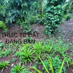 Bán lô đất 492m² ở Bình Mộc Thuận 2.2 tỷ - Ảnh thu nhỏ 2