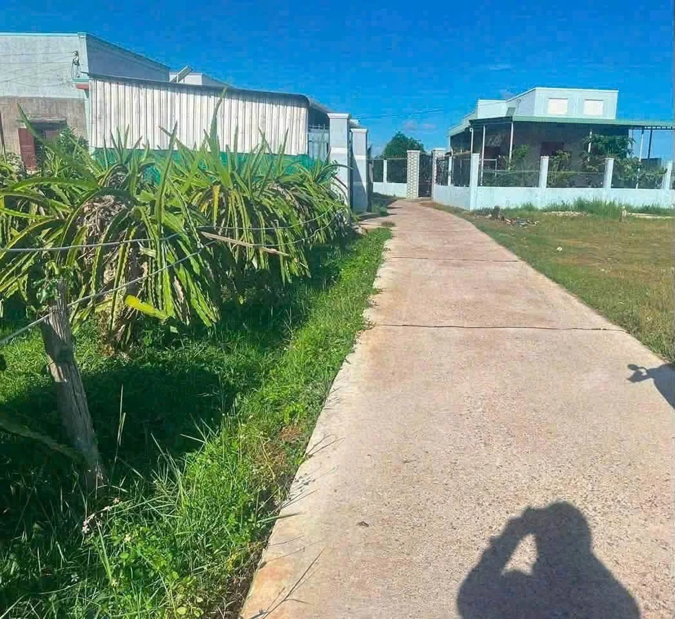 Bán 100m² đất thổ cư gần chợ Bình An, Lâm Đồng - Ảnh thu nhỏ 2