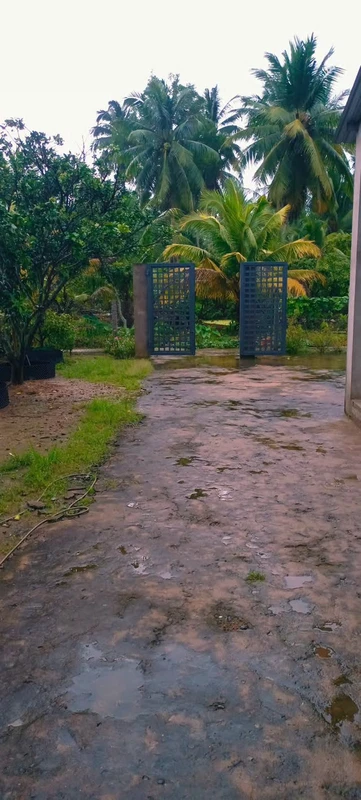 Bán 203m² đất mặt tiền Nguyễn Biểu Rạch Giá 780 triệu 2183