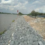 Bán đất 5000m² 2 mặt tiền Sông Sài Gòn Trung An Củ Chi - Ảnh thu nhỏ 3