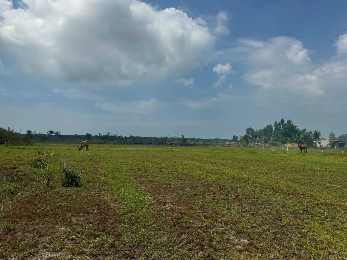 Bán đất Lạc Gì Lâm Đồng 1360m² 1 tỷ 3 - Ảnh thu nhỏ 2