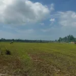 Bán đất Lạc Gì Lâm Đồng 1360m² 1 tỷ 3 - Ảnh thu nhỏ 2