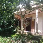 Nhà vườn siêu đẹp, nở hậu, mặt tiền đường Quốc Lộ 20 nối SG - Đà Lạt (Đạ Huoai - Lâm Đồng) - Ảnh thu nhỏ 13