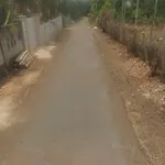 Bán đất mặt tiền đường nhựa 392m² Nhà Bè - Ảnh thu nhỏ 2