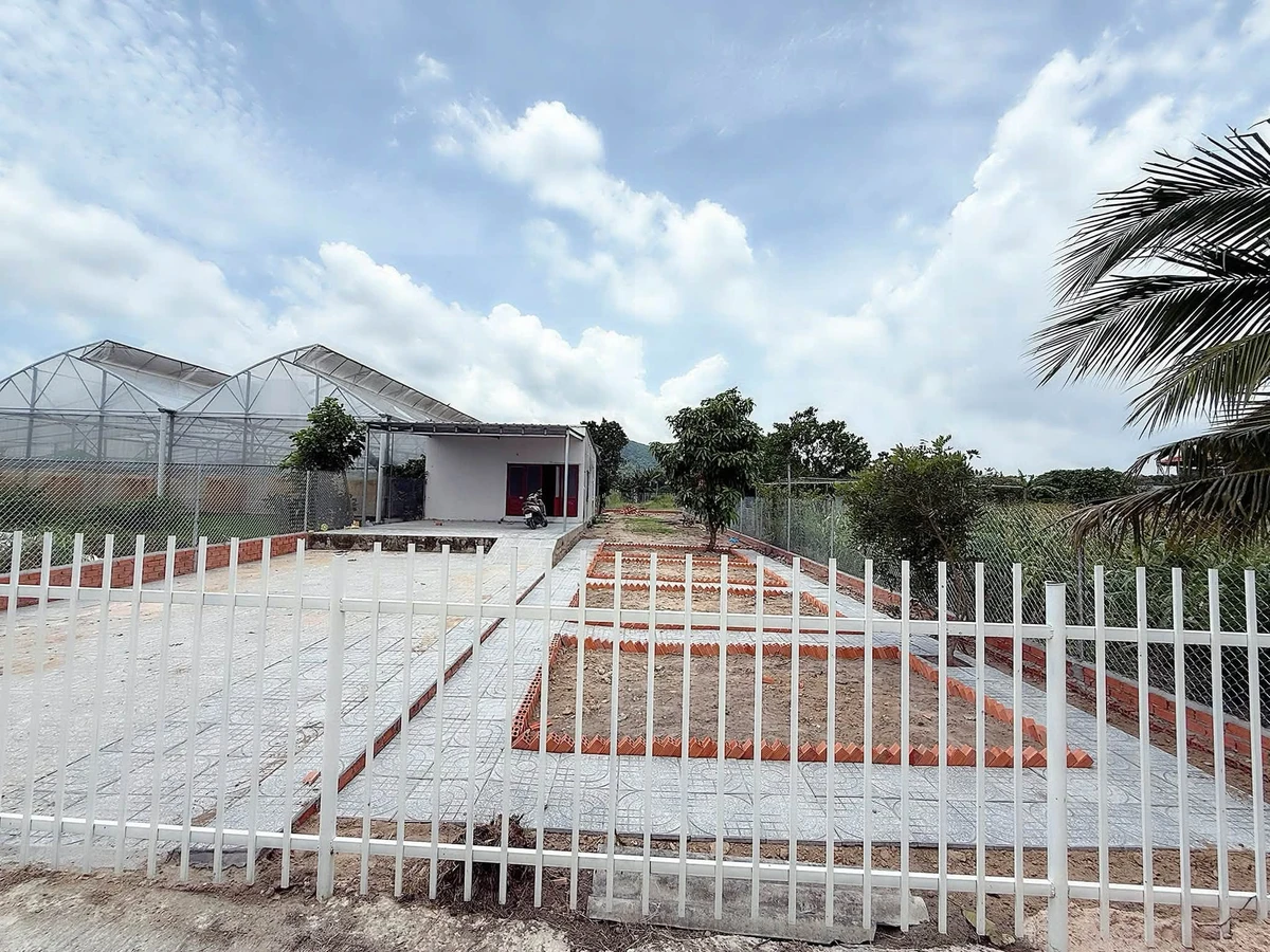 Bán nhà vườn 500m² Long Mỹ Phước Hải 2 tỷ 50 - Ảnh 1