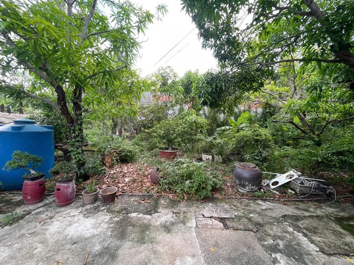 Bán đất thổ cư 200m² Phước Lại 500 triệu - Ảnh 1