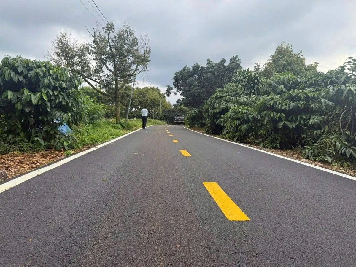 Bán 20 lô đất Bảo Lâm, 4.561m2, giá 8 tỷ - Ảnh 1
