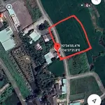 Bán đất 1036m2 Nhựt Tảo Tân Trụ Bình Dương - Ảnh thu nhỏ 4