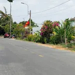Bán đất thổ cư mặt tiền Cao Thị Mai 260m2, 1,4 tỷ/nền, Bình Trinh Đông, Tân Trụ, Long An - Ảnh thu nhỏ 1