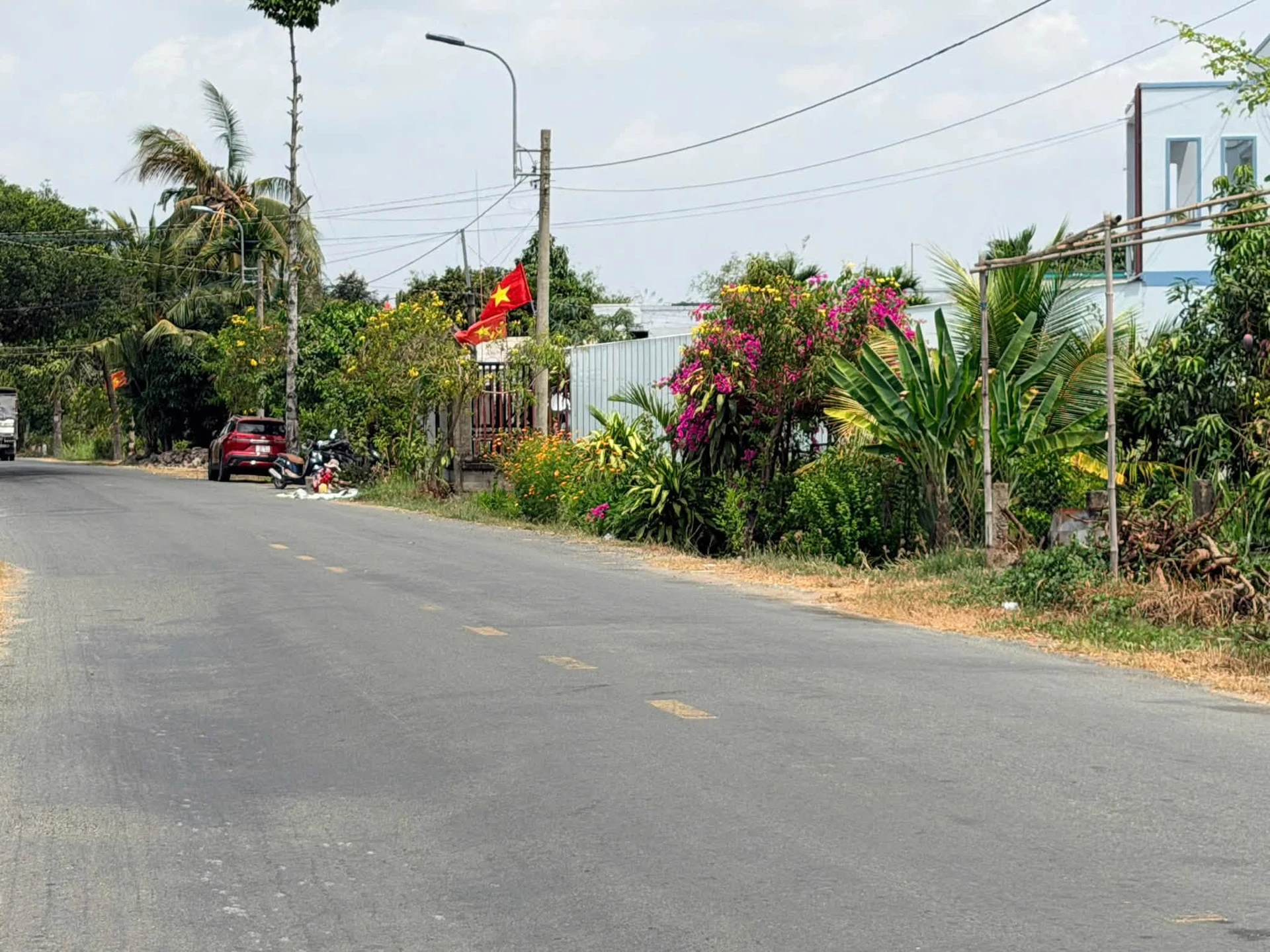 Bán đất thổ cư mặt tiền Cao Thị Mai 260m2, 1,4 tỷ/nền, Bình Trinh Đông, Tân Trụ, Long An - Ảnh 1