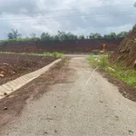 Bán đất 2 mặt tiền Tránh Đông 2,7 sào, 4,4 tỷ - Ảnh thu nhỏ 5