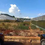 Bán lô đất 220m2 Đa Quý, Đà Lạt, 4,2 tỷ - Ảnh thu nhỏ 1