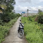 Bán 1000m² đất vườn mặt tiền ôtô Tây Ninh 2,3 tỷ - Ảnh thu nhỏ 3