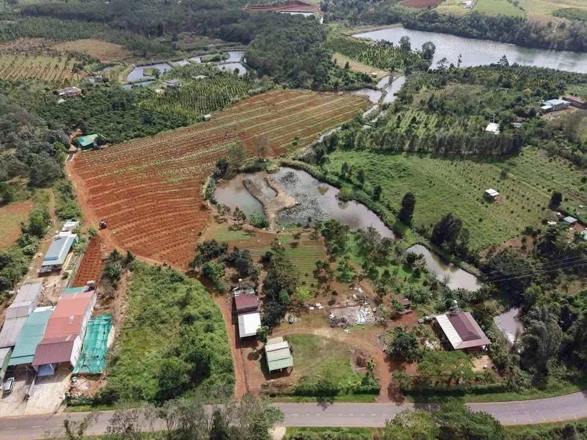 Bán đất 2 hectare tại Đắk Nông, giá 4.4 tỷ - Ảnh thu nhỏ 2
