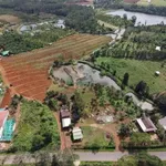 Bán đất 2 hectare tại Đắk Nông, giá 4.4 tỷ - Ảnh thu nhỏ 2