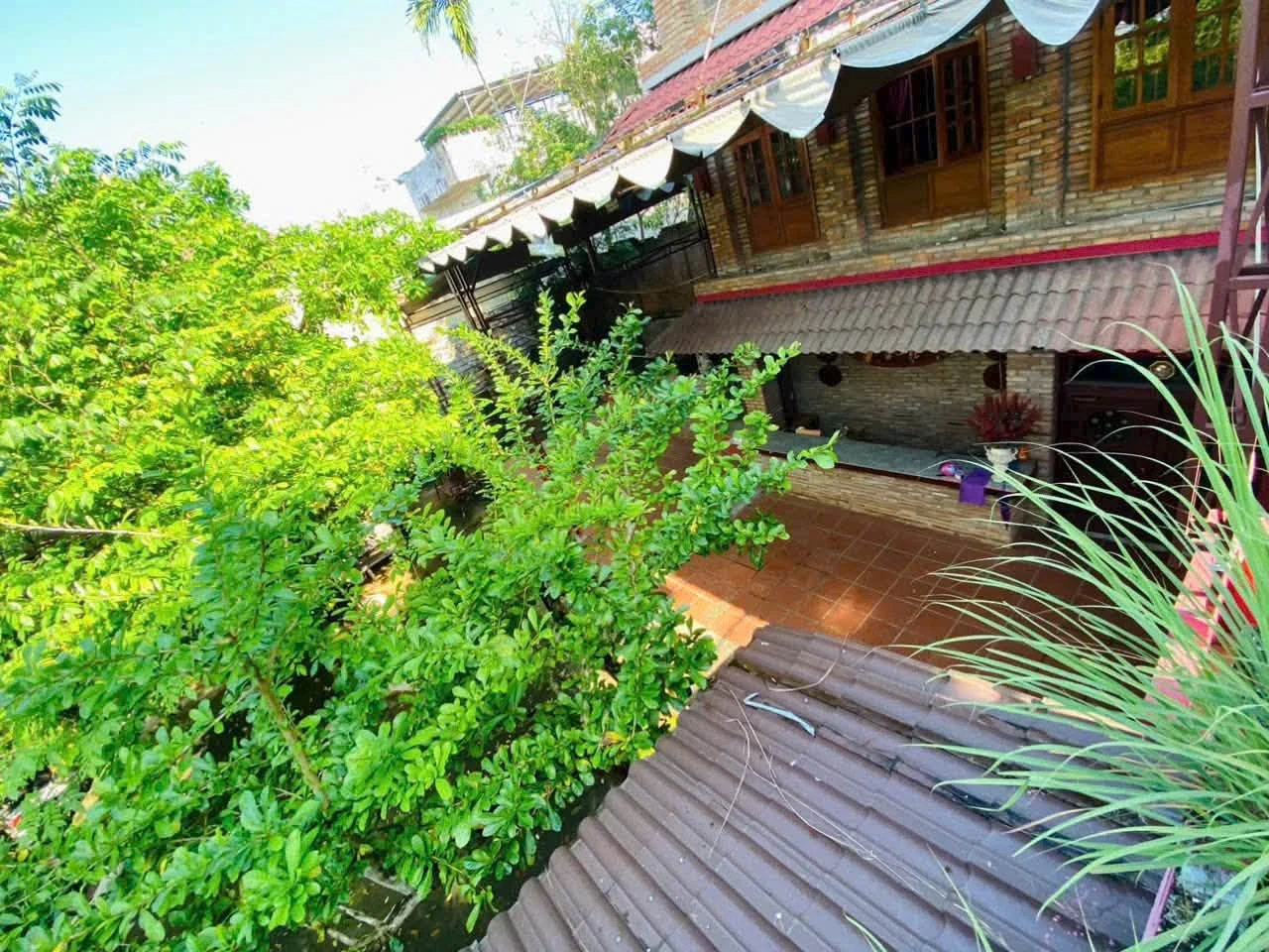 Bán đất 600m² Quảng Ngãi với 3 căn nhà có sẵn - Ảnh 1