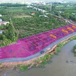 Bán đất vườn 500m² view sông Vàm Cỏ Đông, xã Thạnh Lợi (Thạnh Hòa, Bến Lức cũ), giá 999 triệu - Ảnh thu nhỏ 1