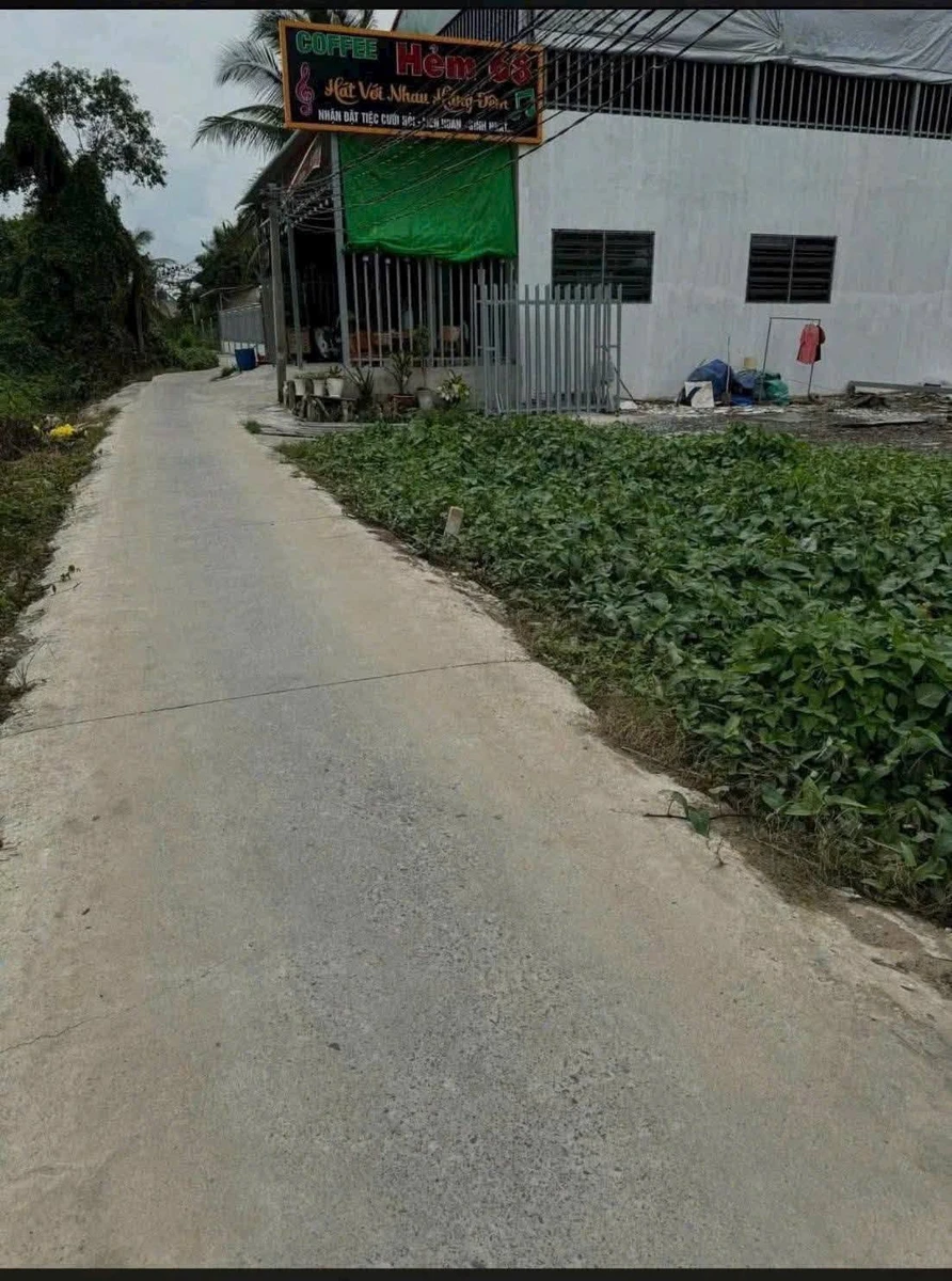 Bán 1000m2 đất vườn mặt tiền đường ô tô Tây Ninh - Ảnh thu nhỏ 2