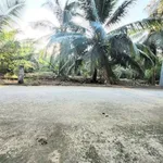 Bán đất Sơn Đông Vĩnh Long 666m2, giá 1 tỷ 180 triệu - Ảnh thu nhỏ 3