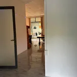 Bán nhà vườn 1000m2 giá 900 triệu tại Hàm Liêm, Phan Thiết - Ảnh thu nhỏ 2