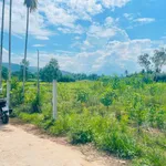 Bán vườn Nghĩa Thắng 3025m² giá 1 tỷ - Ảnh thu nhỏ 2
